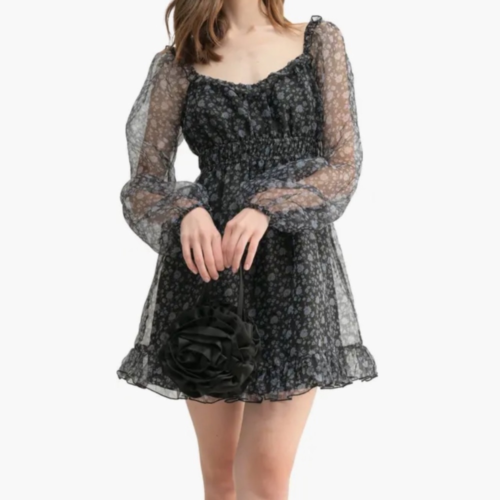 All in Favor Floral Long Sleeve Organza Minidress New NWT